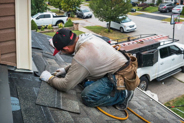 Professional Roofing technician working in Davis Junction, IL